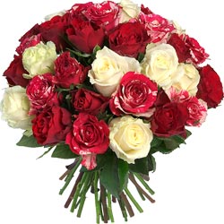Bouquet de roses rouges et blanches