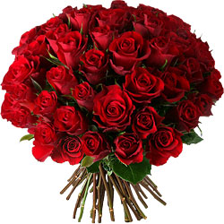 roses-rouges-envoyer-50-10571-250