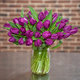Purple  tulips 3