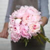 Send a sSuperb bouquet of peonies