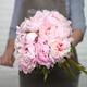 Superb bouquet of peonies