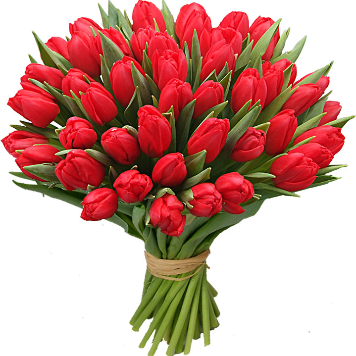 Ahora es fácil enviar tulipanes frescos a domicilio. 
