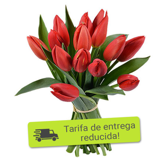 Regala Tulipanes Rojos