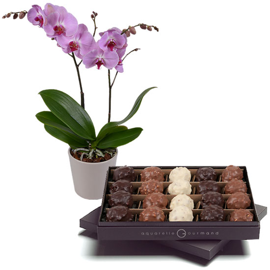 Send a box of rochers and a sumptuous orchid