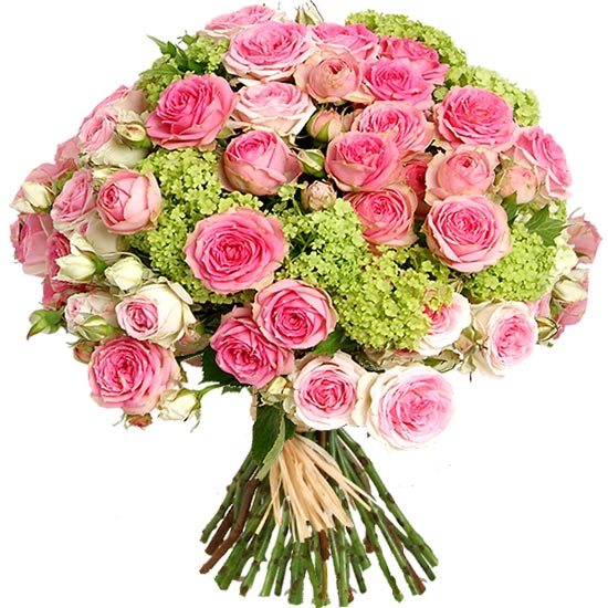 Envoyez un bouquet de Roses Mimi Eden et viburnum