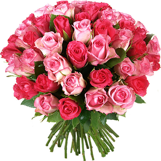 Send this Tendresse bouquet of pink roses