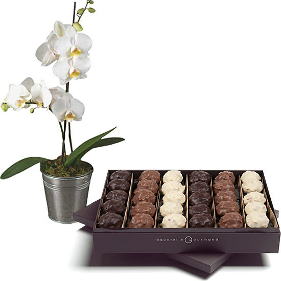 Delicious rochers and a white orchid