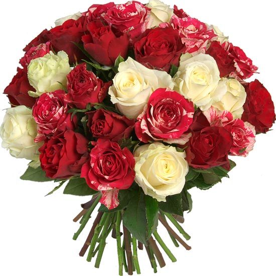 Order a white and red roses bouquet
