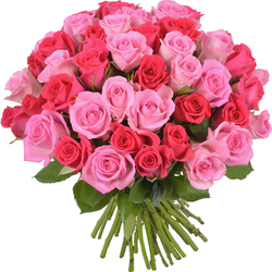 Bouquet de roses 'Tendresse' Bouquet de roses 'Tendresse'