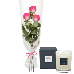 Drei rosa Rosen mit Duftkerze Drei rosa Rosen mit Duftkerze