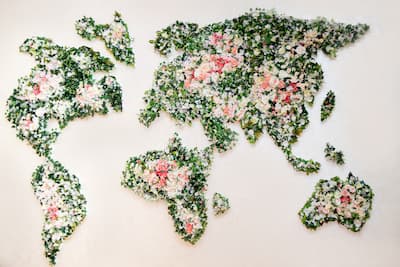 Entrega de flores em mais de 135 países
