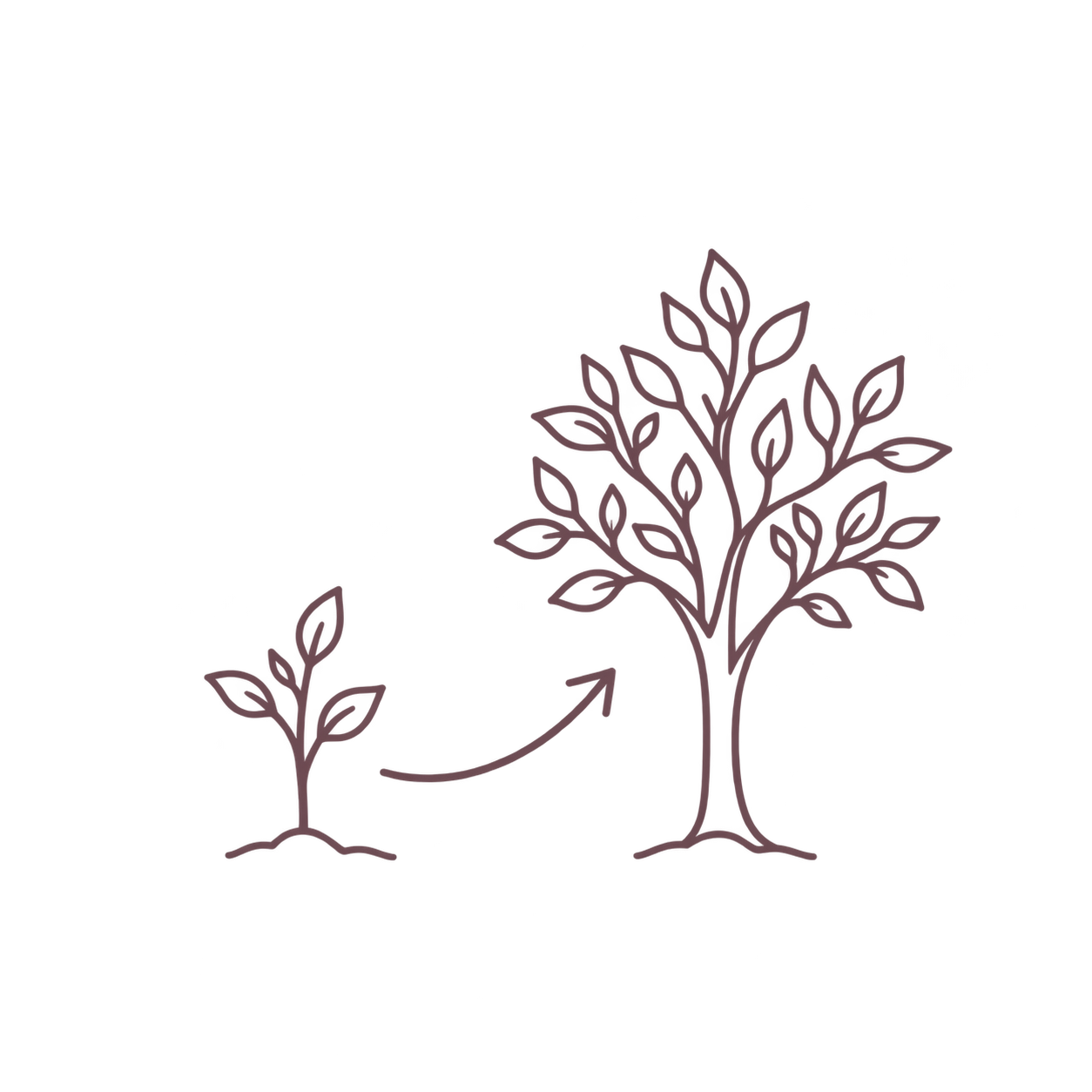 Un arbre qui grandit, littéralement  