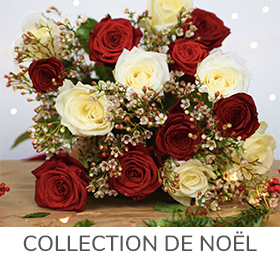 Collection-de-noel