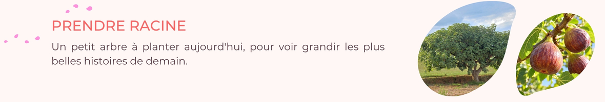 Prendre racine - arbres à offrir