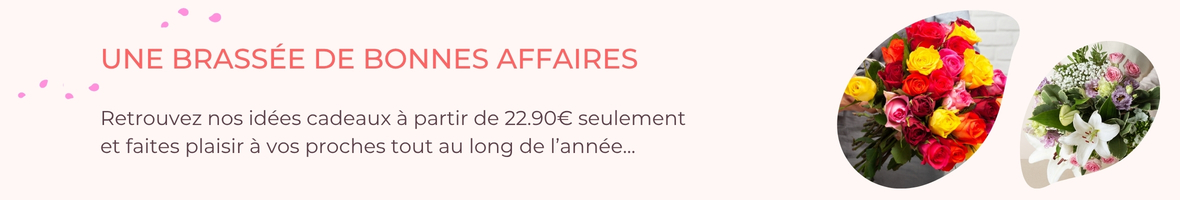 Bonnes affaires