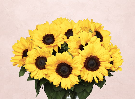 Bouquets de Saison