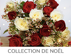 Collection-de-noel