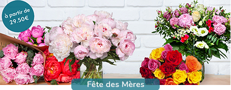 Fête des mères