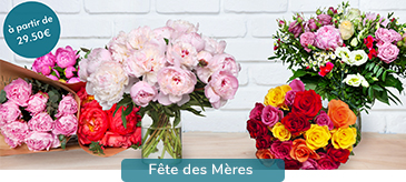 Fête des mères