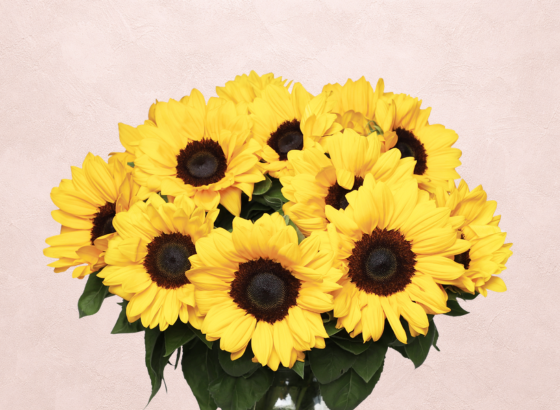 Bouquets de Saison