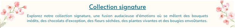 Collection signature 