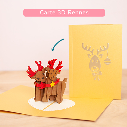 1 carte 3D Rennes