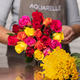 20 Harlequin roses + 30 Daffodils