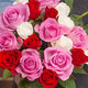 20 Harlequin roses + 30 Daffodils 3
