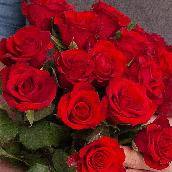 20 roses rouges