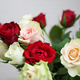 30 Marvellous roses  2