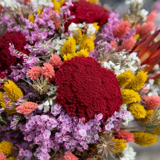 Alegría Bouquet de fleurs séchées coloré Rosa Cadaqués x Aquarelle 2