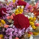 Alegría Bouquet de fleurs séchées coloré Rosa Cadaqués x Aquarelle 2