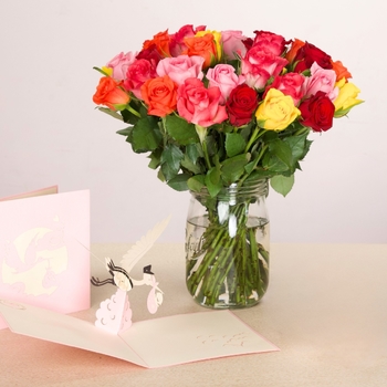Arlequin et Carte 3D cygogne rose