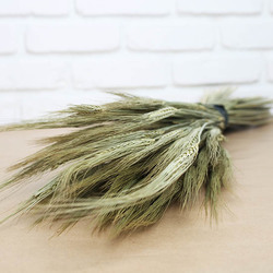 1 botte de blé naturel (170g environ)<br>hauteur : 45-50 cm