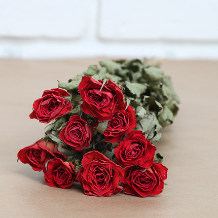 1 bunch of dried red roses (10 stems)