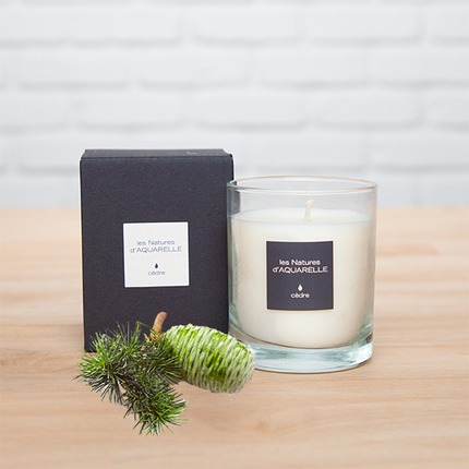 Cedar candle