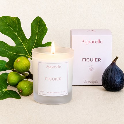 Bougie Figuier