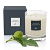 A 190g Fig Tree scented candle 