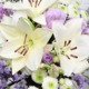 'Virgo' Bouquet 3