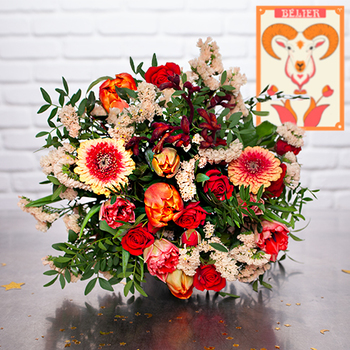 Bouquet 'Aries'