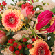 Bouquet 'Bélier' 2