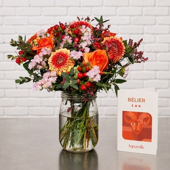 Bouquet 'Aries'
