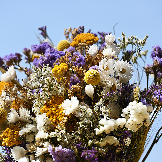 Bouquet Cala Bona 3