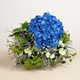 Bouquet 'Cancer'