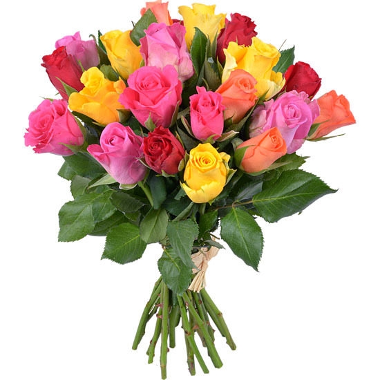 Harlequin bouquet of 20 multi-coloured roses