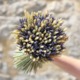 Bouquet Provence - Fleurs séchées 2