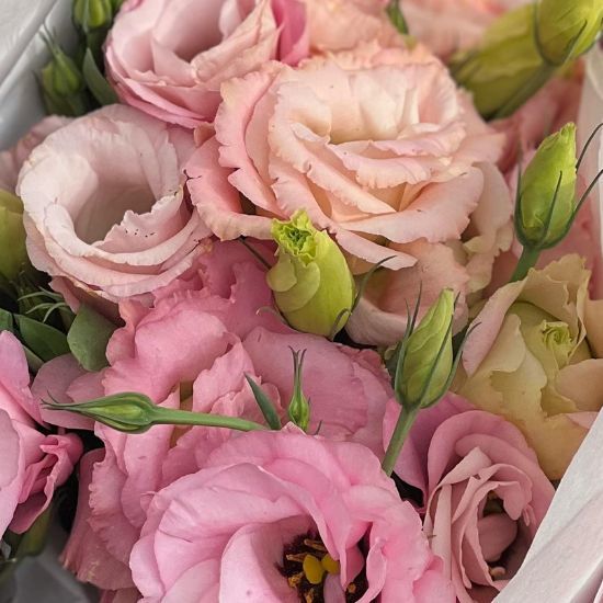 Bouquet de Lisianthus Roses 2