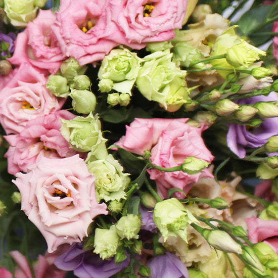Brassée de lisianthus mixtes – Bouquet frais et élégant 3