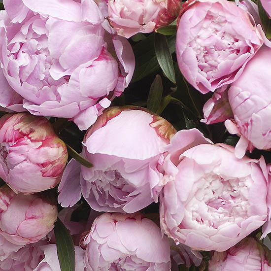 Mini Peach Peony Bouquet 3