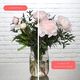 Petit Bouquet de Pivoines 2